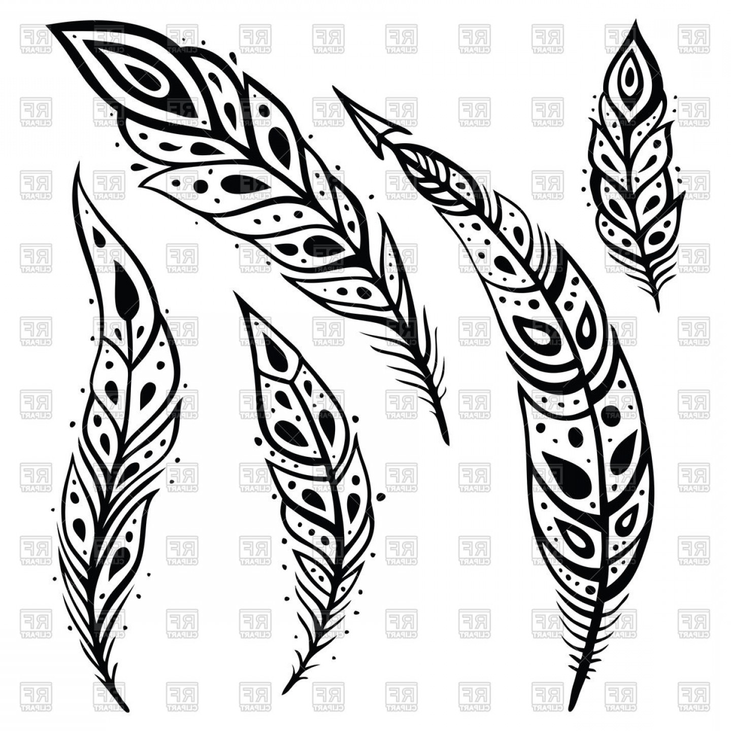 Stylized Decorative Black White Feathers Vector Clipart.