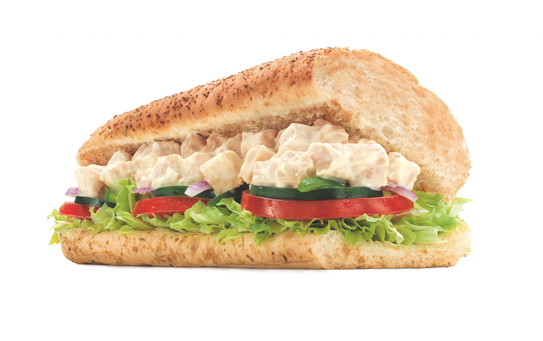 Craziest Subway Sandwiches Around the World.