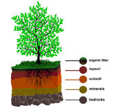 Subsoil Clipart by Megapixl.