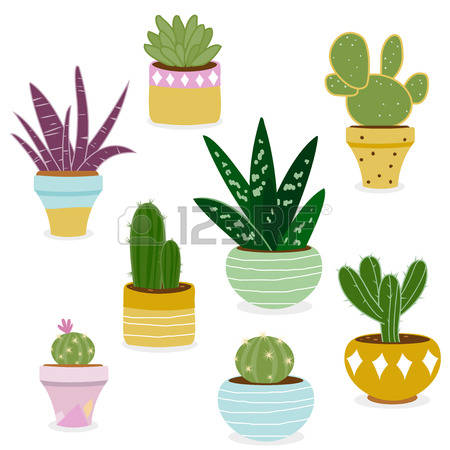 Succulent clipart 20 free Cliparts | Download images on Clipground 2022