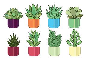 succulent clipart free 10 free Cliparts | Download images on Clipground