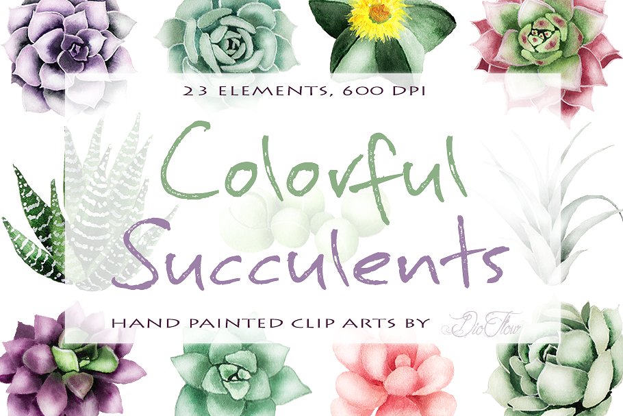 succulent watercolor clipart 10 free Cliparts | Download images on ...