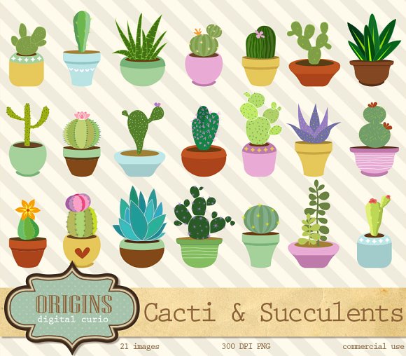 Cacti and Succulents Clipart ~ Illustrations on Creative Market.