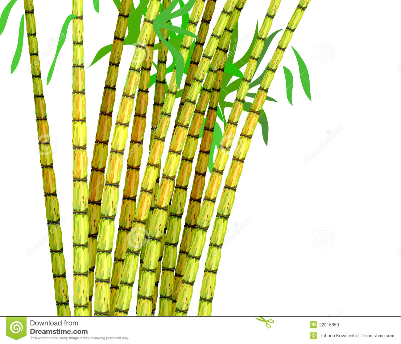 Sugar cane harvest clipart 20 free Cliparts | Download images on