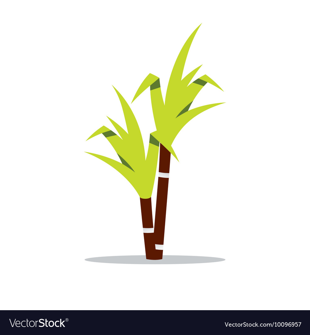 sugar cane vector png 10 free Cliparts | Download images on Clipground 2022