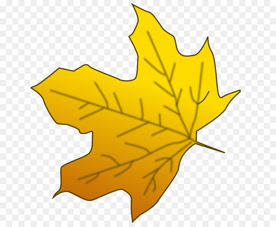 florida sugar maple leaf