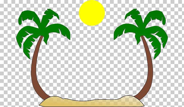 Arecaceae Tree Free content , Summer Borders s PNG clipart.