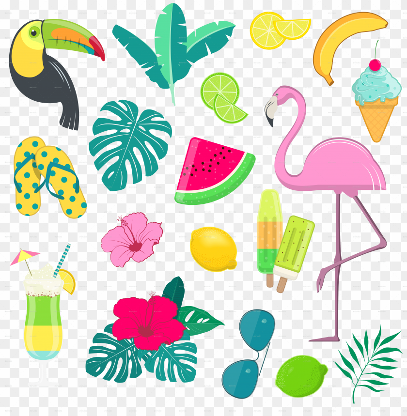 summer vector png.