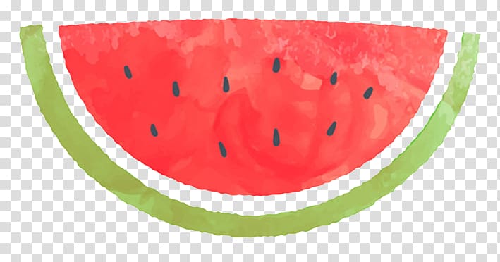 Watermelon slice , Watermelon Citrullus lanatus Watercolor.