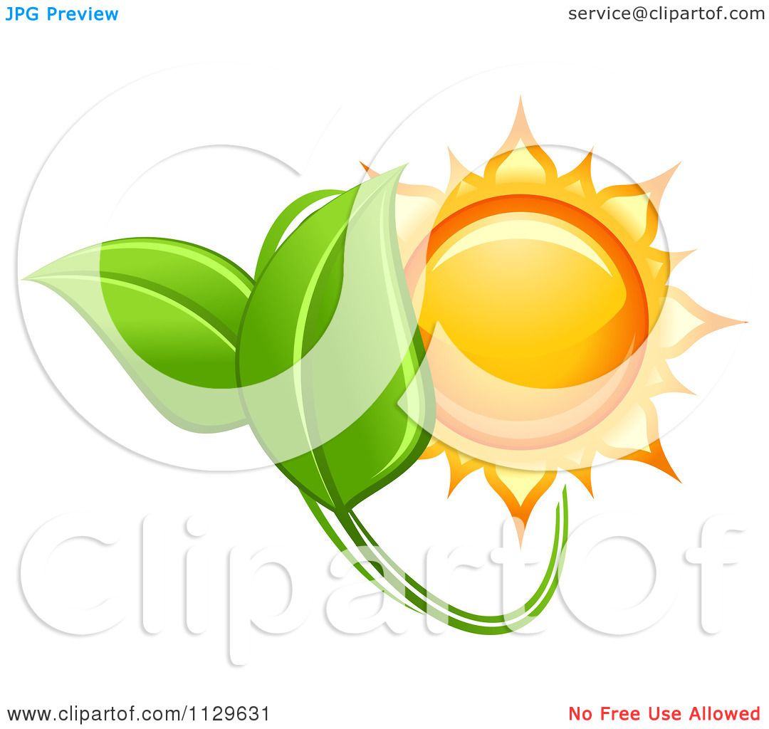 Clipart Of A Shiny Sun And Green Leaves.