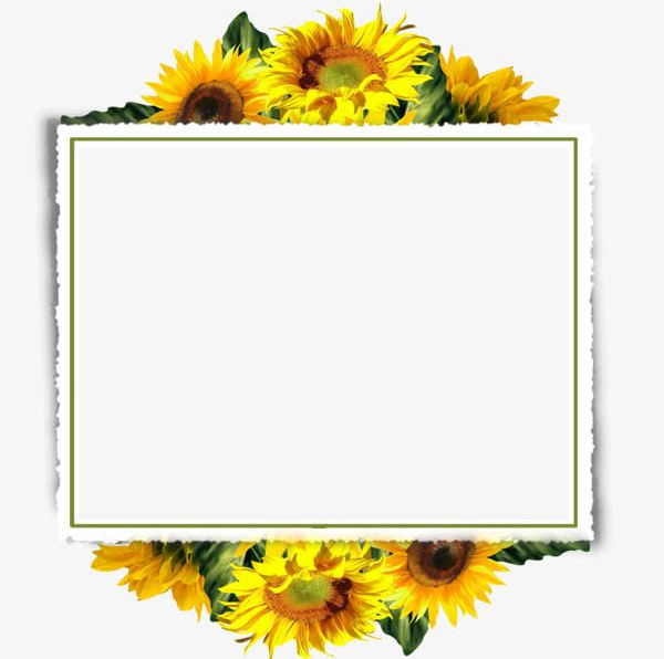 free sunflower page borders for word