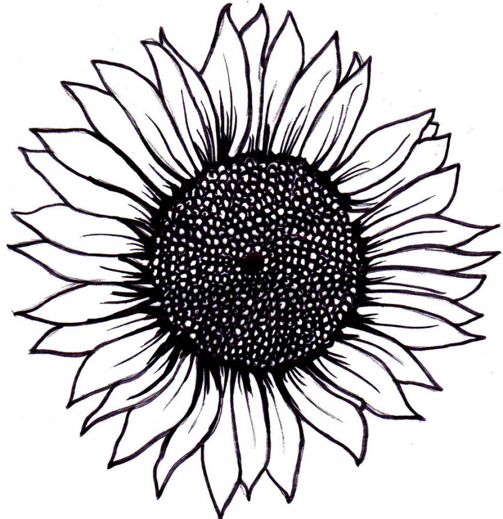 Free Free 349 Sunflower Svg Black And White Free SVG PNG EPS DXF File