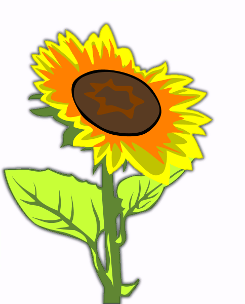 Free Sunflower Clipart.