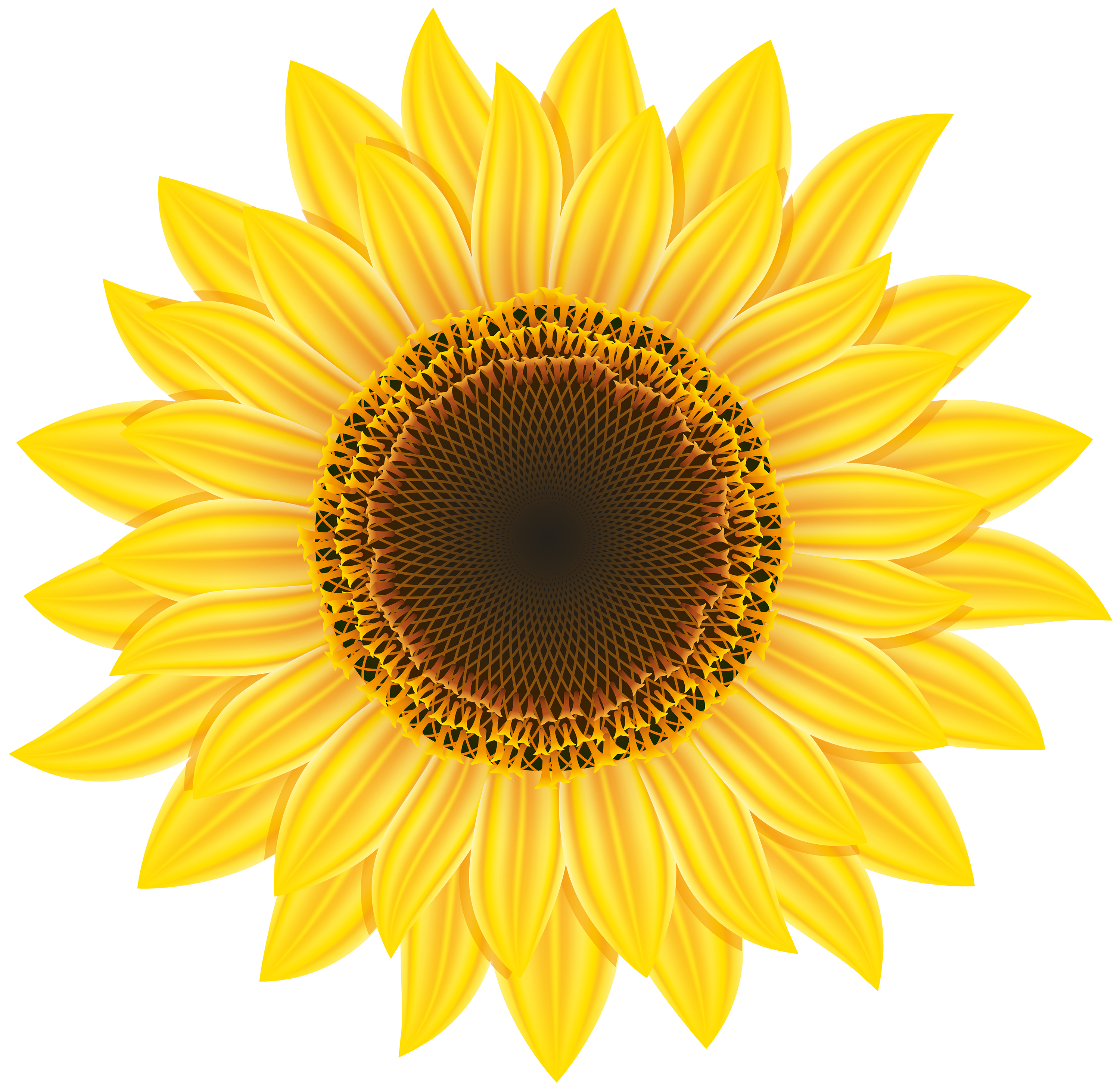 Free Free 208 Transparent Background Sunflower Clipart Free SVG PNG EPS DXF File