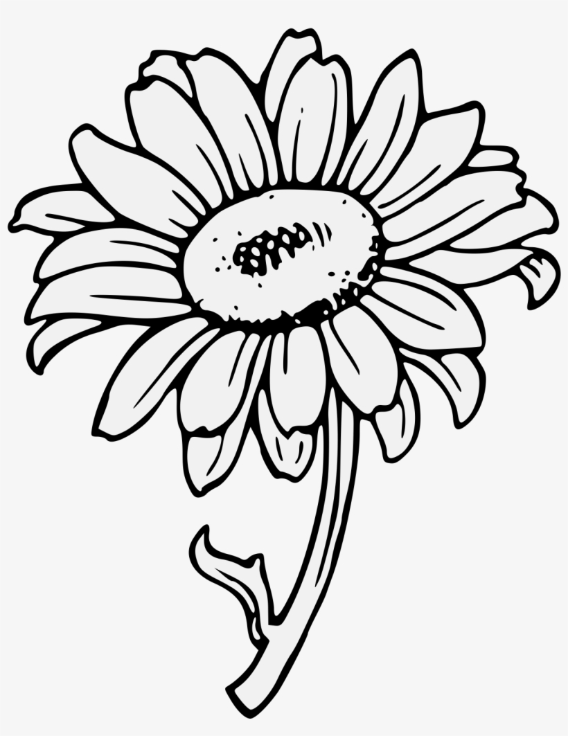Download sunflower clipart black and white 10 free Cliparts ...