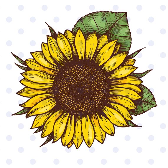 sunflower, sunflower svg, sunflower clipart, sun svg, flower.