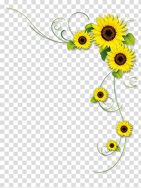 sunflower clipart square 100 kb 10 free Cliparts | Download images on