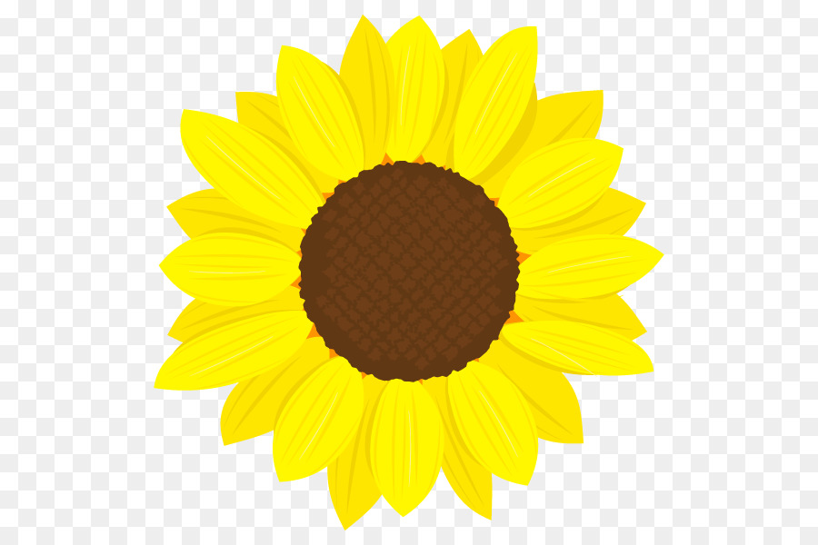 Sunflower Clipart.