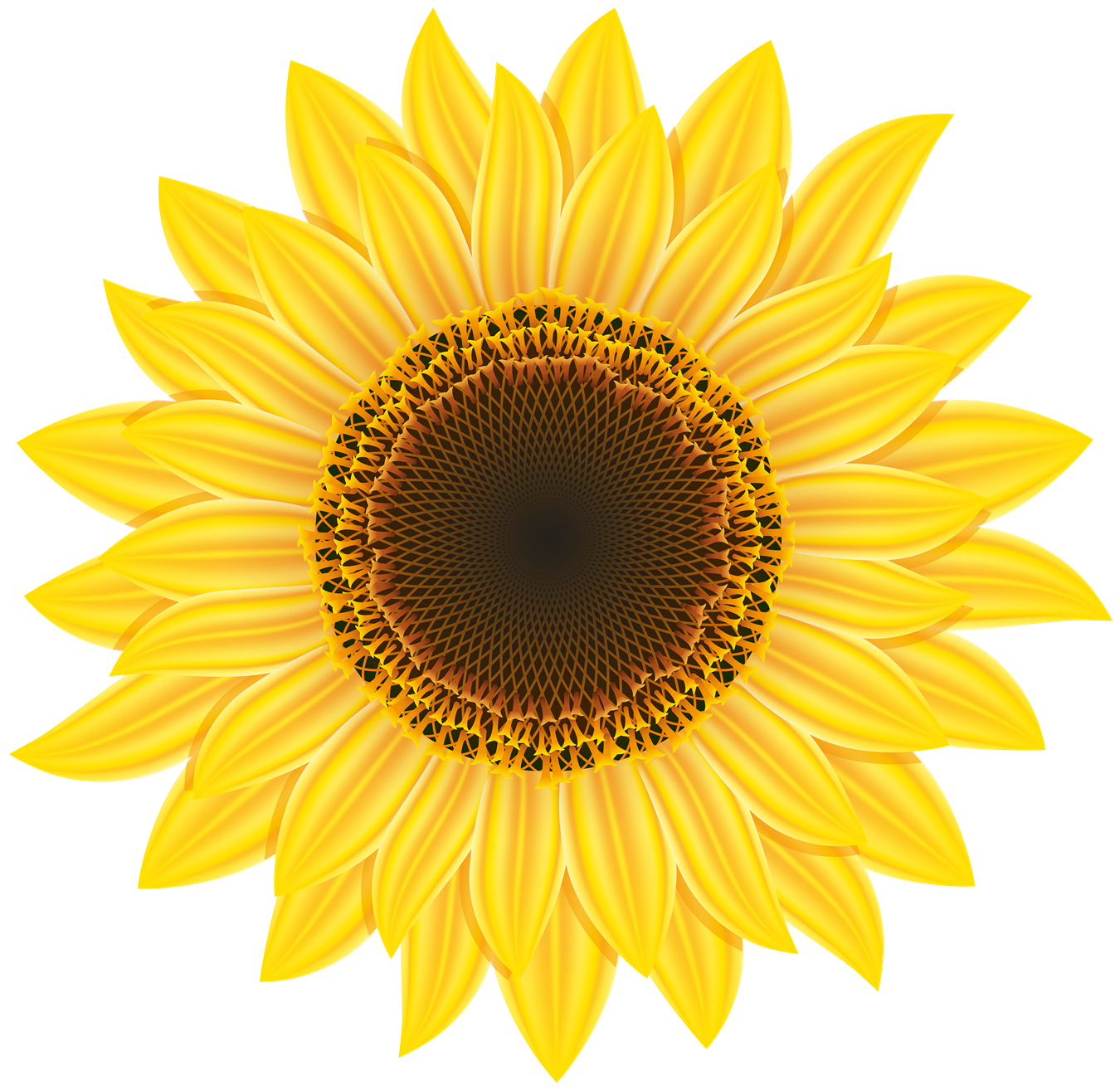 Free Free 162 Clipart Sun Flower Clipart Transparent Background Sunflower Sunflower Png SVG PNG EPS DXF File