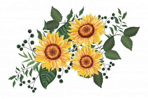 sunflower frame clipart free vector 10 free Cliparts ...