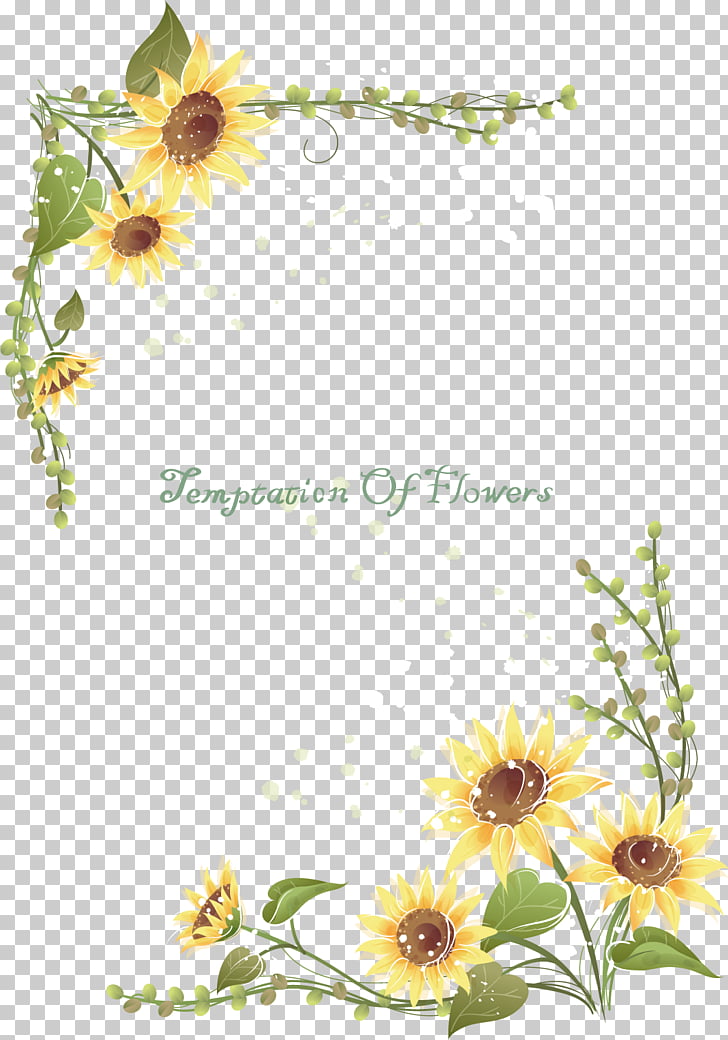 Common sunflower Euclidean , Korean sunflower lace frame 2.