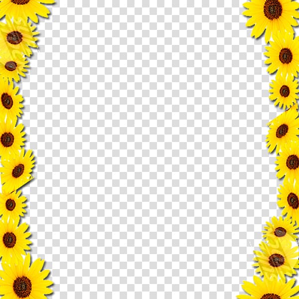 Free Free 203 Sunflower Border Clipart Free SVG PNG EPS DXF File
