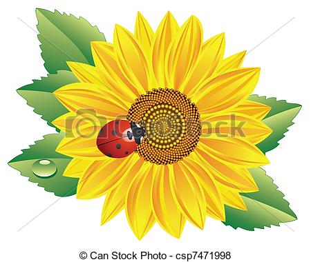 Download Sunflower red clipart 20 free Cliparts | Download images ...