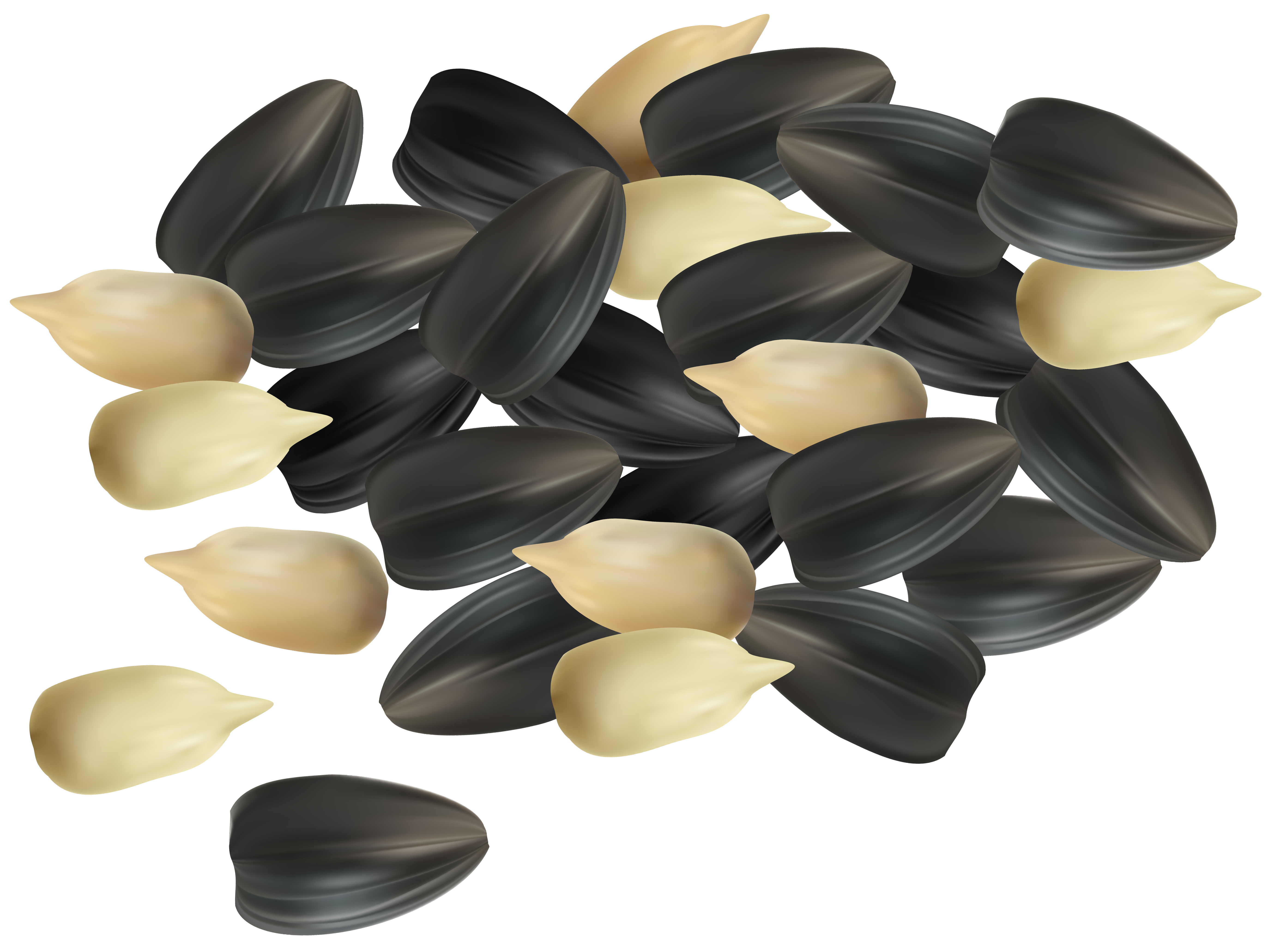 Free Free 159 Clipart Sunflower Seeds Png SVG PNG EPS DXF File