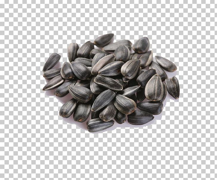 Common Sunflower Sunflower Seed Sunflower Oil Crop PNG.