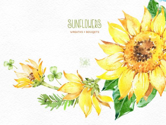 Free Free 282 Free Sunflower Wreath Clipart SVG PNG EPS DXF File