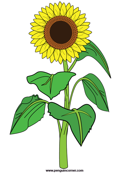 Sunflowers clipart black and white free.