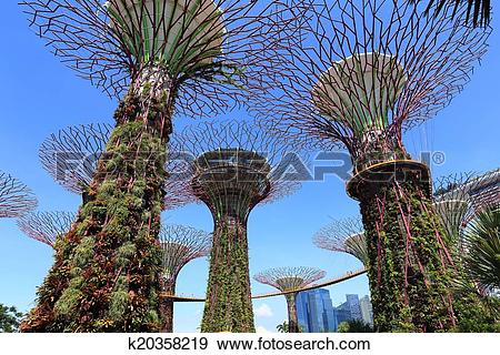 Stock Photograph of The Supertrees Grove at Gardens by the Bay.