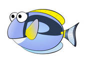 Surgeonfish Stock Illustrations.