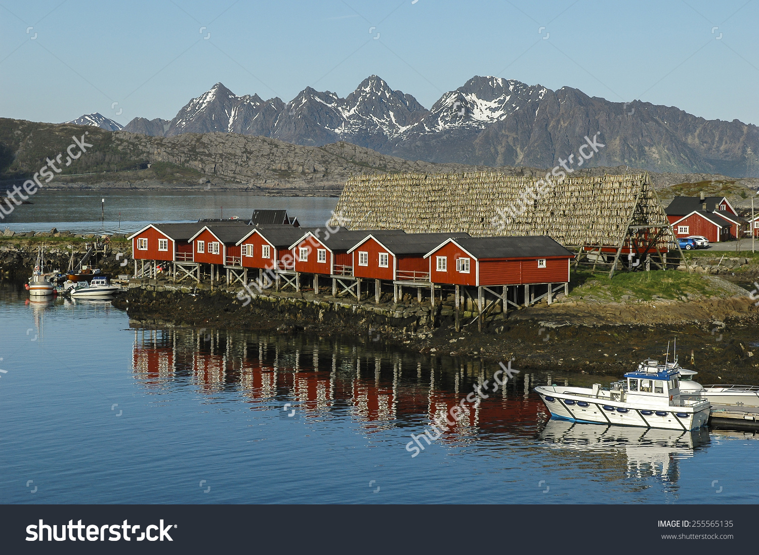 Rental Houses Svolvaer Lofoten Norway Stock Photo 255565135.