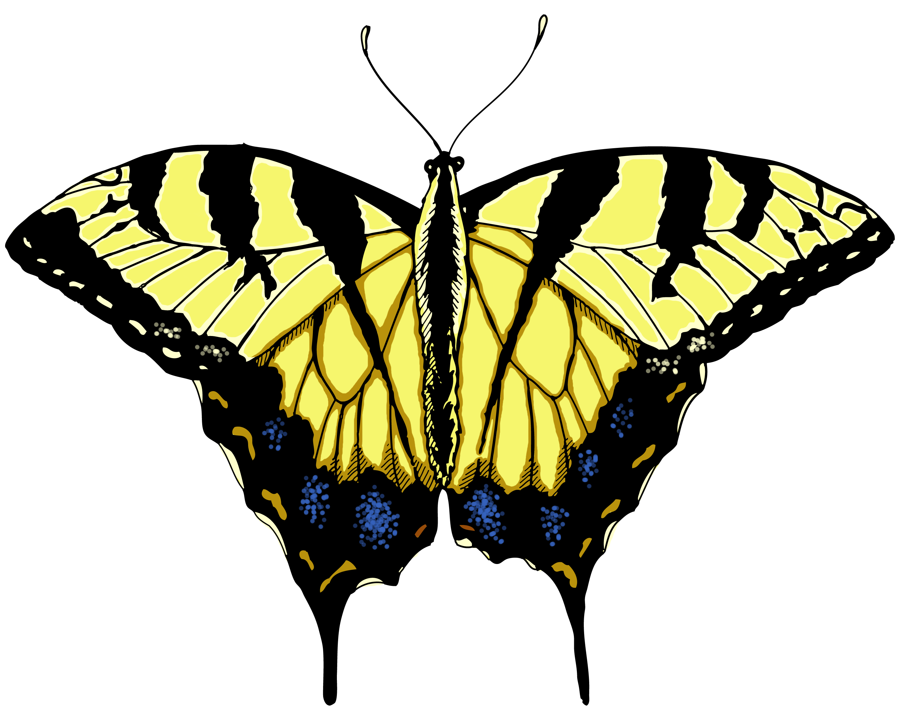 Download swallowtail butterfly border clipart 20 free Cliparts ...