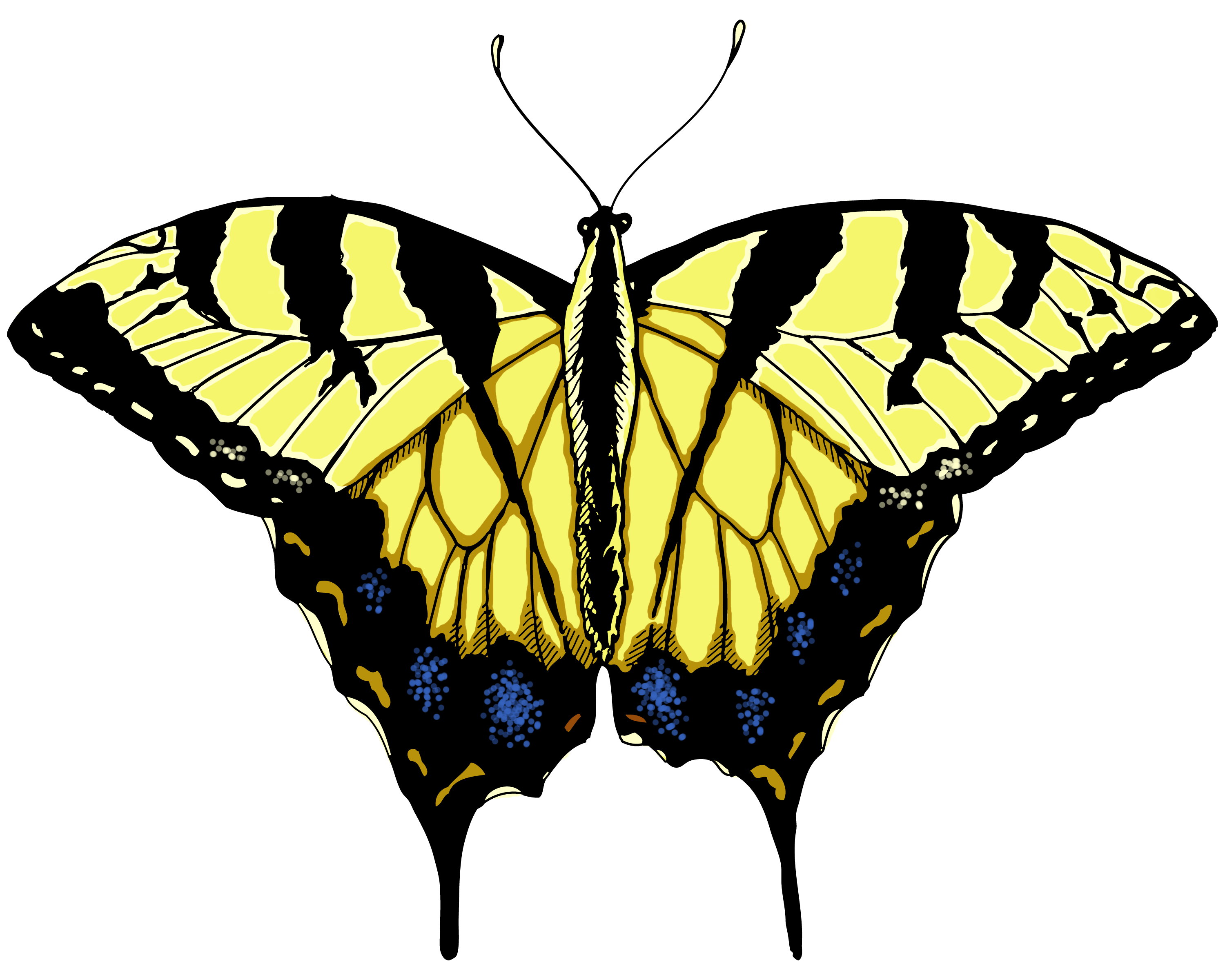 Free Free 241 Yellow Butterfly Svg SVG PNG EPS DXF File