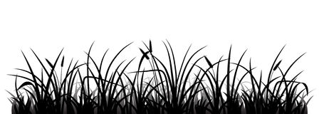 Download tall grass clipart silhouette 20 free Cliparts | Download ...