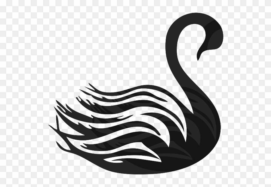 Black Swan Clipart Transparent.