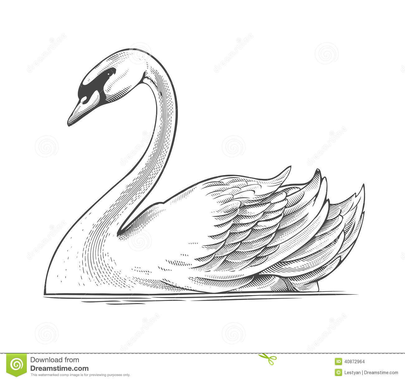 Swan feather clipart 20 free Cliparts | Download images on Clipground 2024