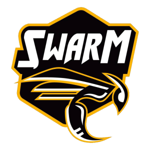 Team Swarm Dota 2, roster, matches, statistics.