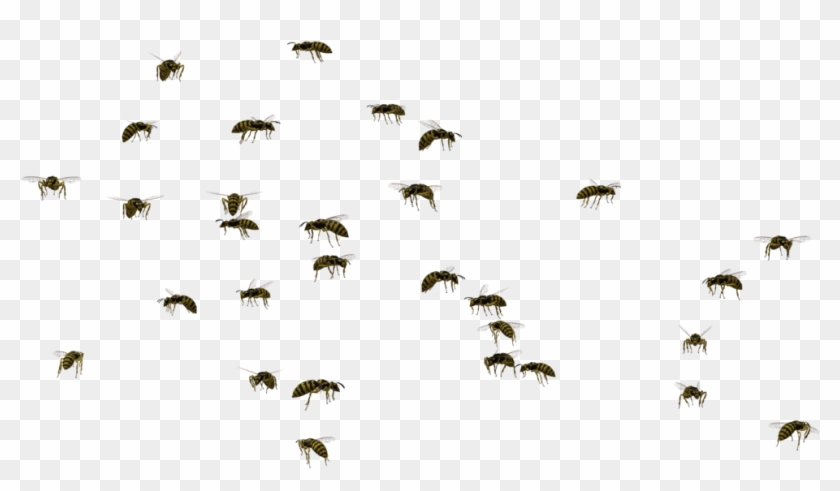 Swarm Of Bees Png Png Royalty Free.