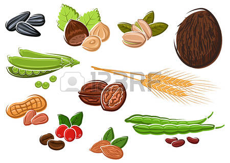 Sweet Coconut Cliparts, Stock Vector And Royalty Free Sweet.