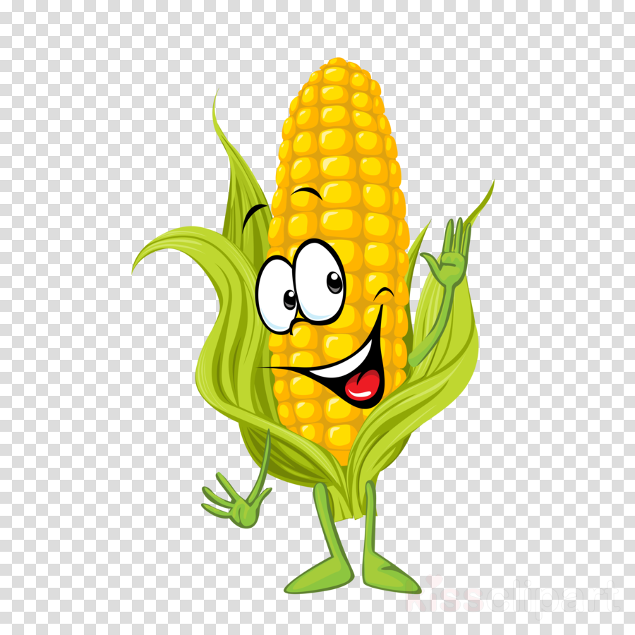 Sweet Corn Pictures Clipart 10 Free Cliparts Download Images On