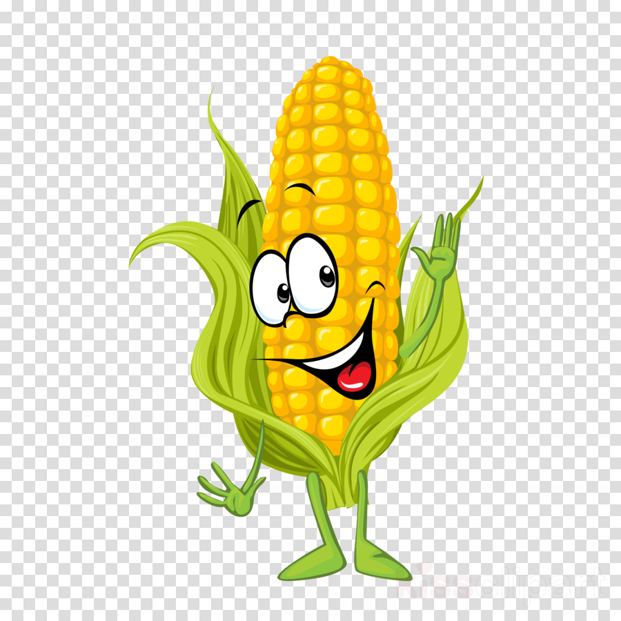 sweet corn pictures clipart 10 free Cliparts | Download images on