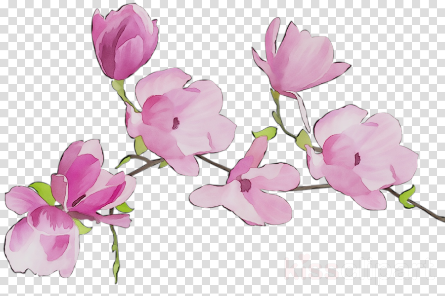 sweet pea flower clipart 10 free Cliparts | Download images on