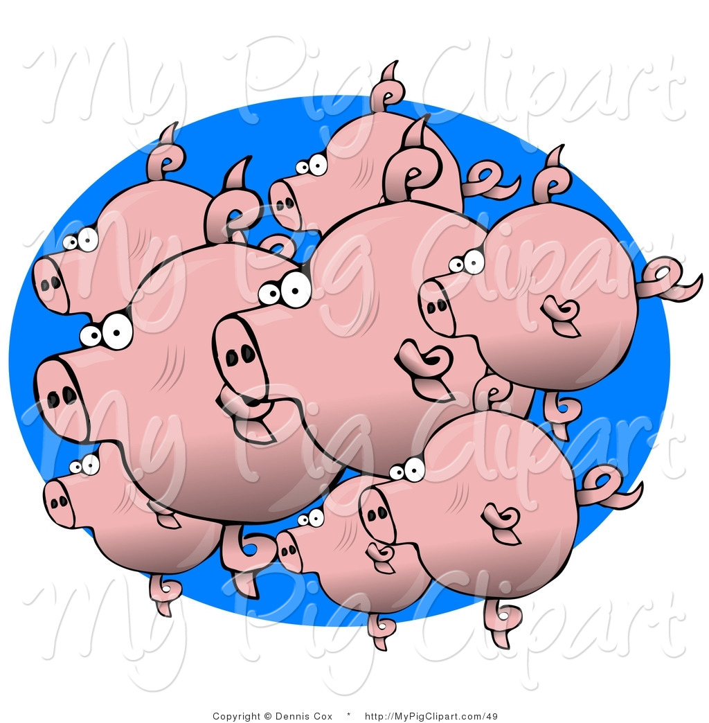 Royalty Free Funny Stock Pig Designs.
