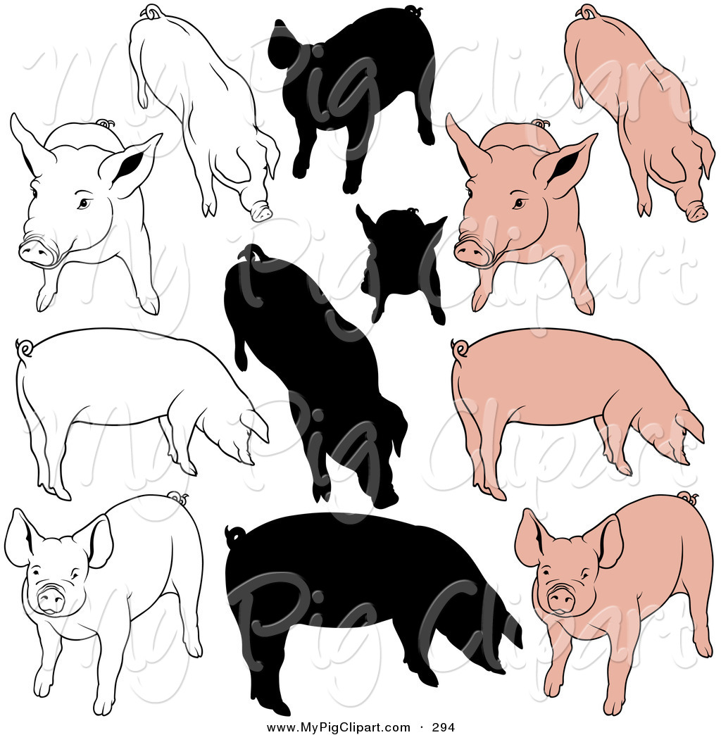 Swine Clipart of a Digital Set of Pigs in Color, Outlines and.