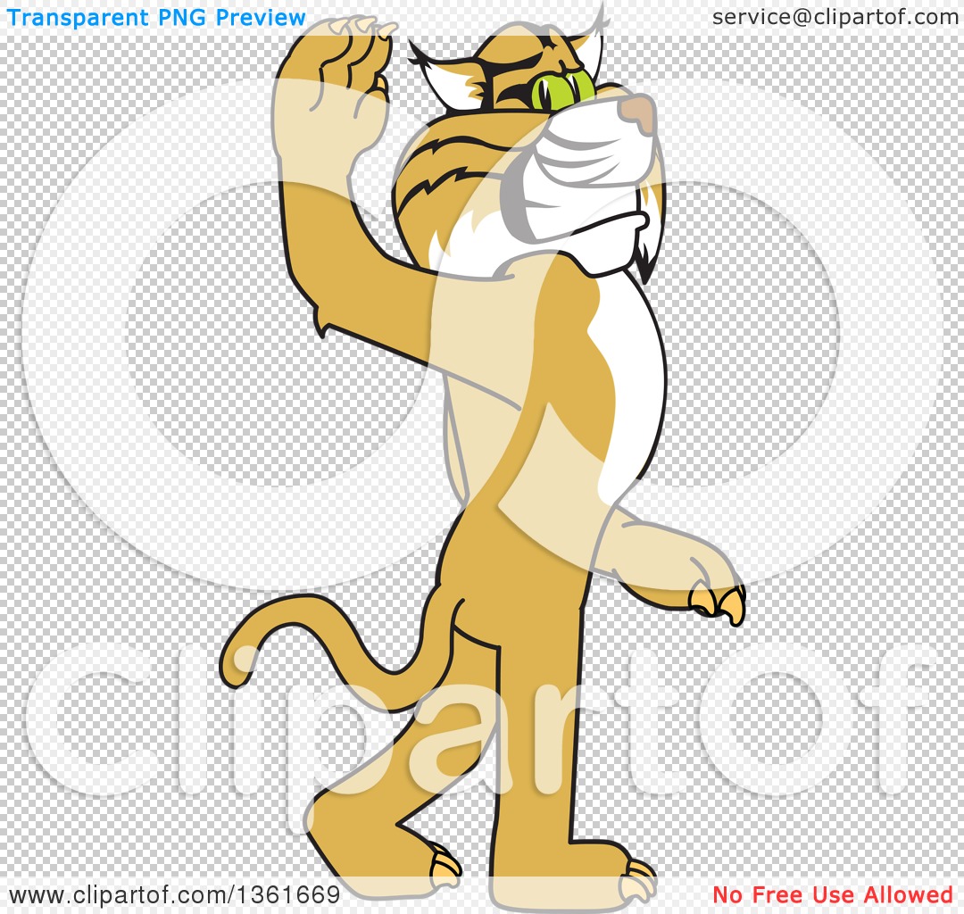 Clipart of a Bobcat School Mascot Character Walking and Waving.