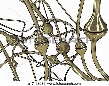 Stock Illustration of Synapses, artwork u17428089.