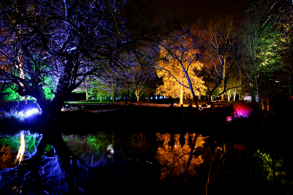 Enchanted Woodland at Syon Park London.